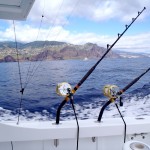 Best Places for Sea Fishing