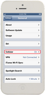Iphone 5 Data Roaming - Cellular N