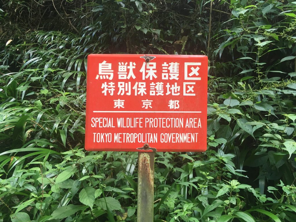 Top Tokyo Tips: Mount Takao