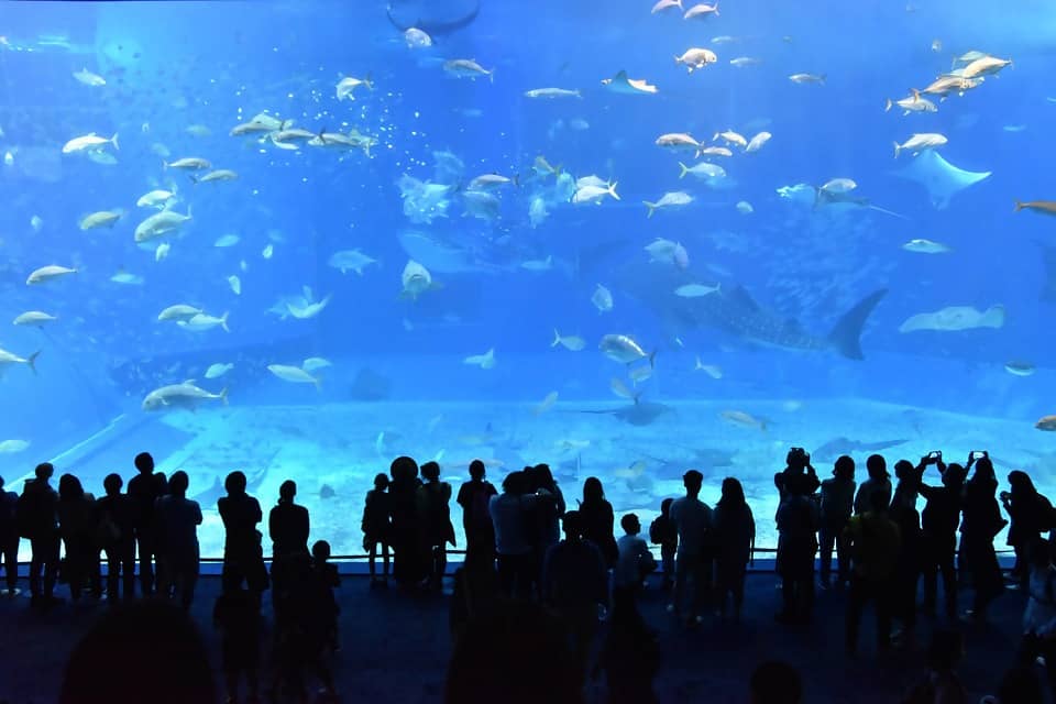 How to Spend 7 Days in Okinawa
