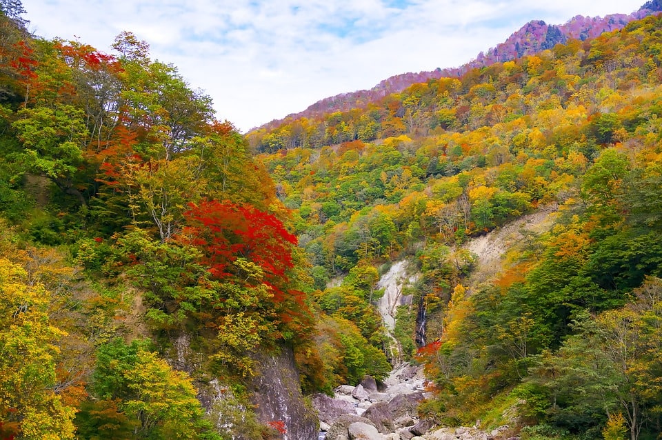 Japan's Autumn Foliage May Arrive Later Than Usual