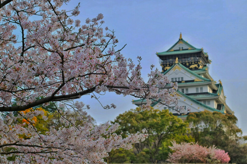 Cherry Blossom Season in Japan 2026
