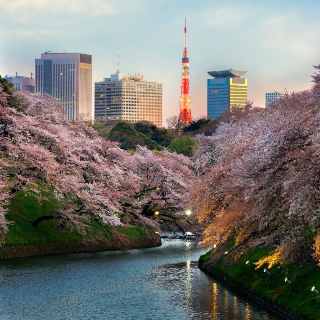 Imperial Park In Tokyo in Spring