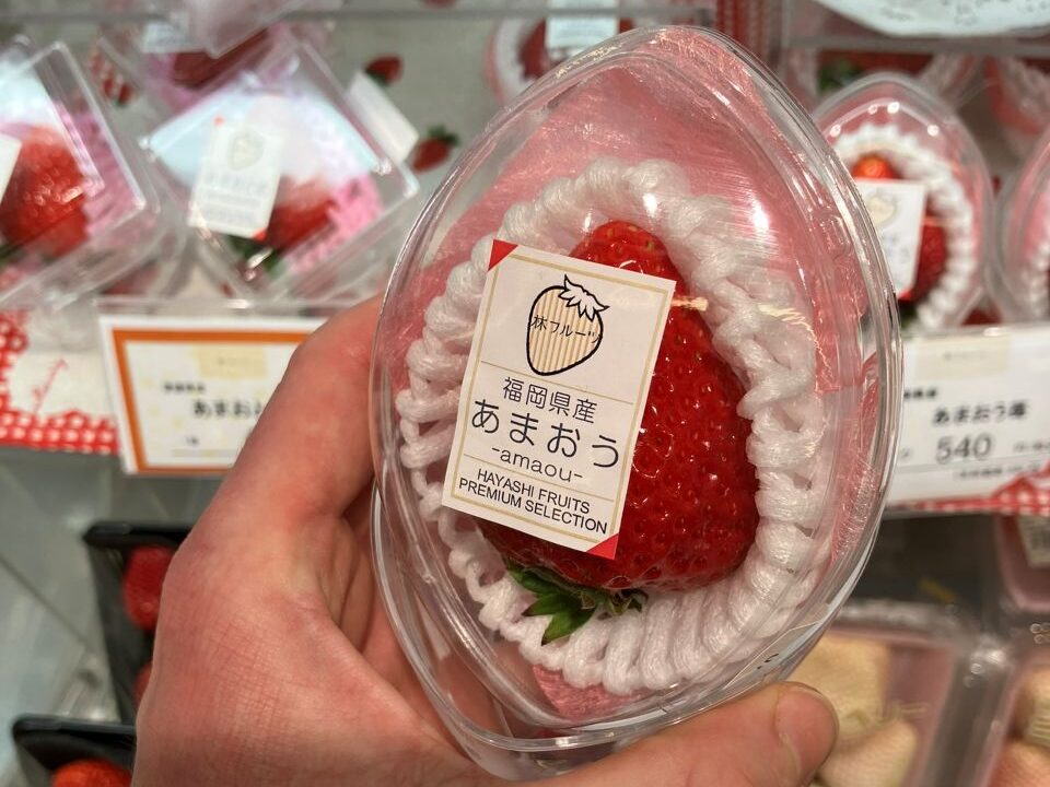 Single Amaou strawberry in protective packaging at a Japanese fruit shop